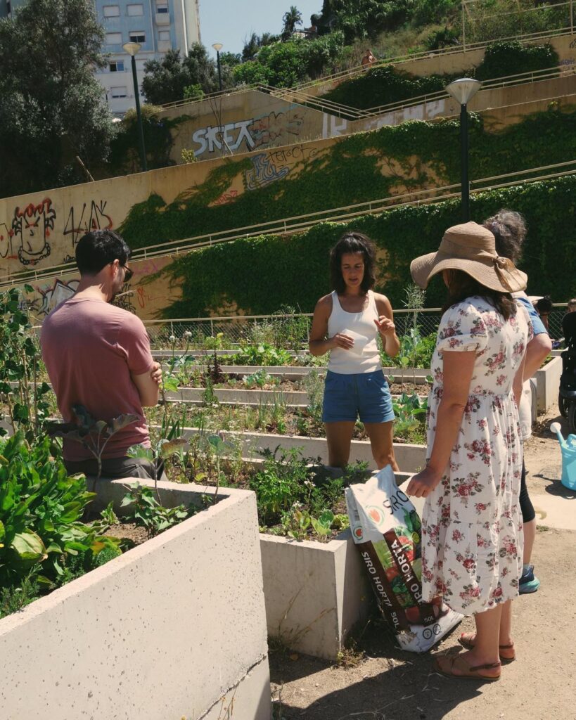plant wisdom project